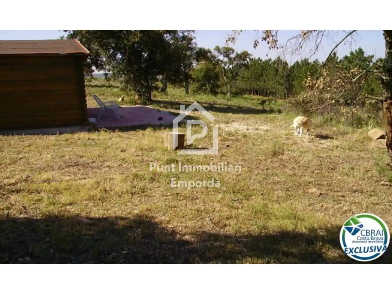 Terreny rústic en venda a Polígono Butaros 181, imagen 11