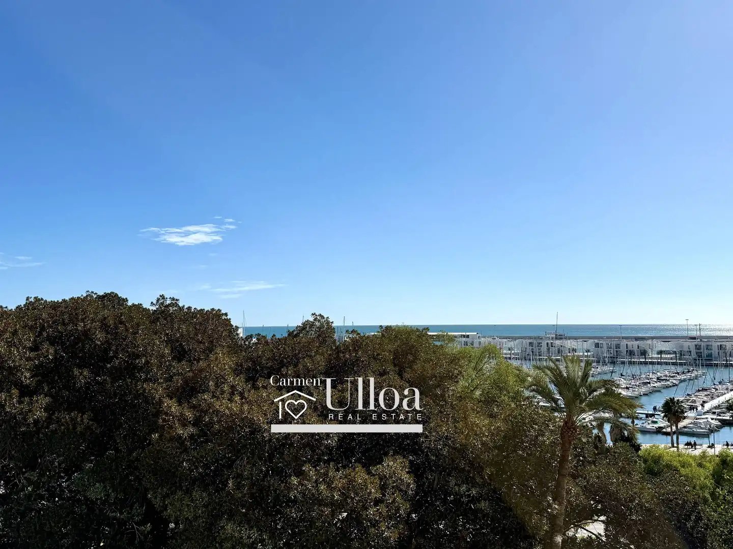 Vista exterior de Apartament en venda en Alicante / Alacant amb Aire condicionat, Calefacció i Jardí privat