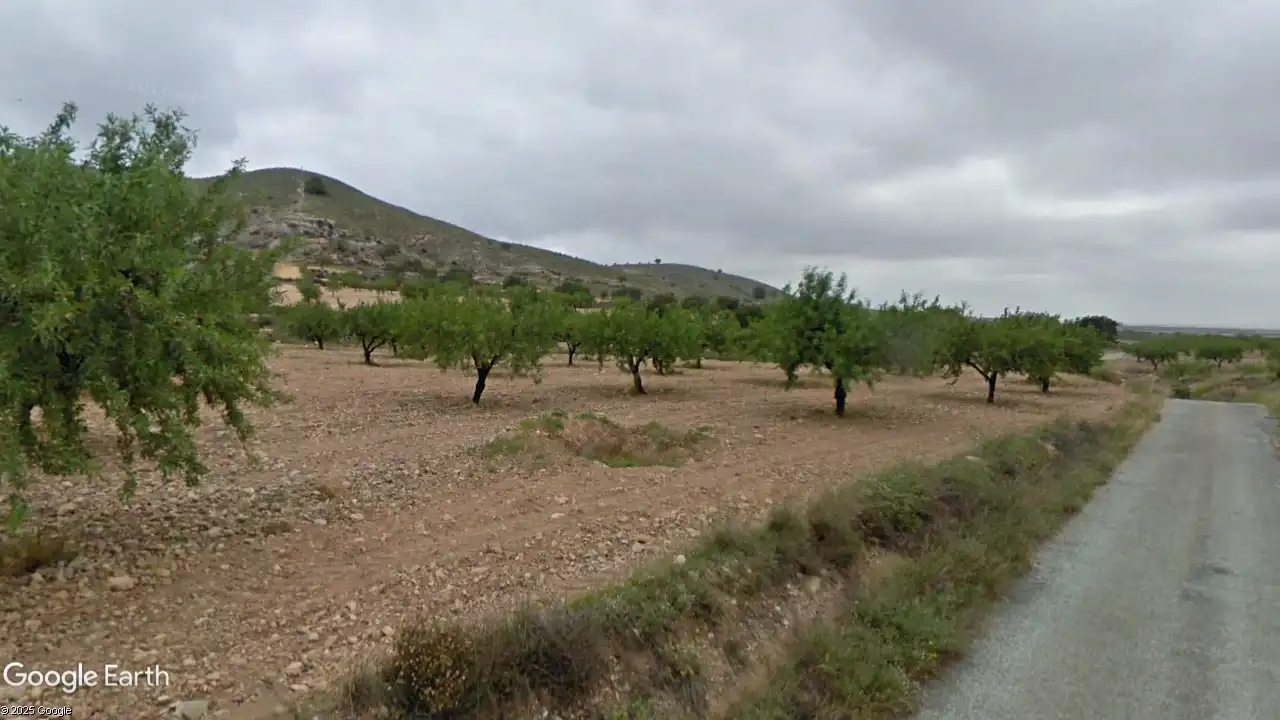 Terreno rustico in vendita a Campo de Murcia, imagen 6