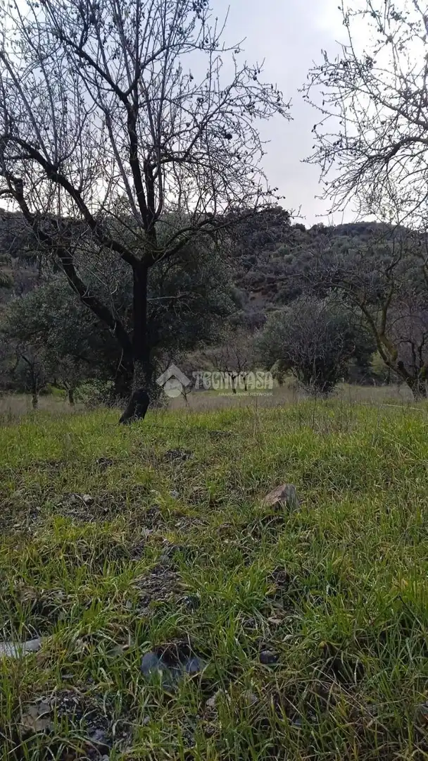 Casa rústica en venda a Torvizcón, imagen 14