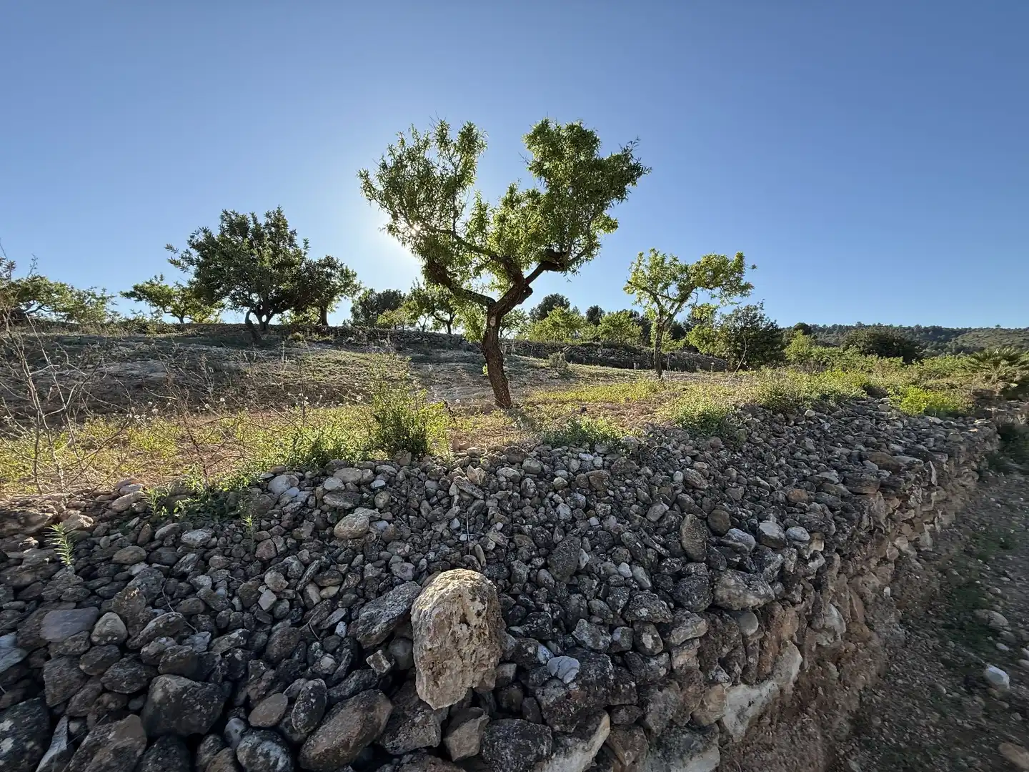 Grundstücke zum Verkauf in Useras /  Les Useres, Castellón