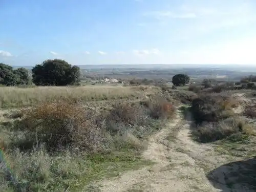 Terreno rustico in vendita a Camino DESPEÑALOBOS 1, imagen 2
