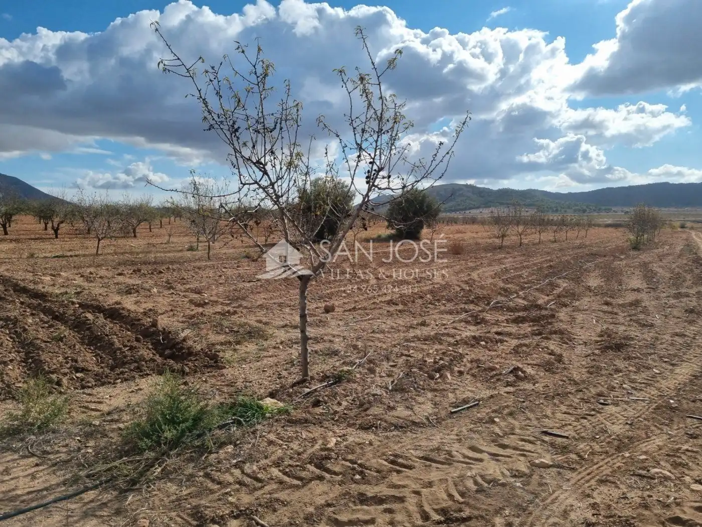 Terreny residencial en venda a Algueña