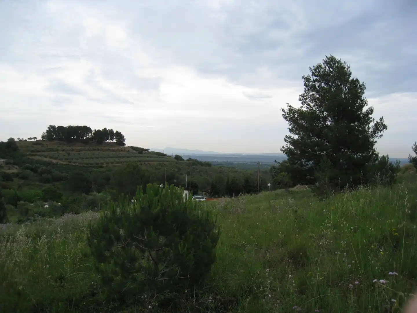 Wohnbaugrundstück zum Verkauf in Carrer del Pi 5, imagen 7