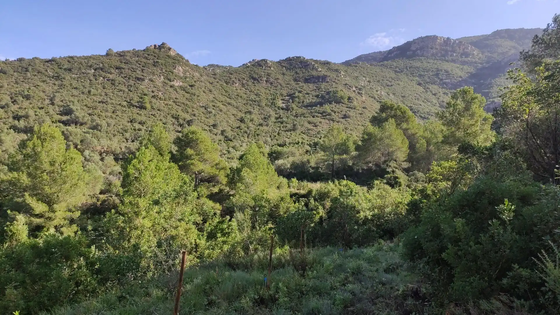 Finca rústica en venta en Freginals con Terraza y Trastero