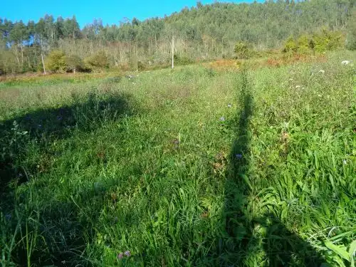 Terreno rustico in vendita a Parroquias suroccidentales