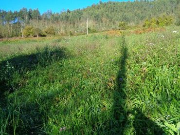 Rural land for sale in Parroquias suroccidentales