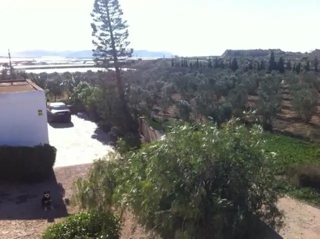 Jardí de Finca rústica en venda en Níjar amb Jardí privat i Traster