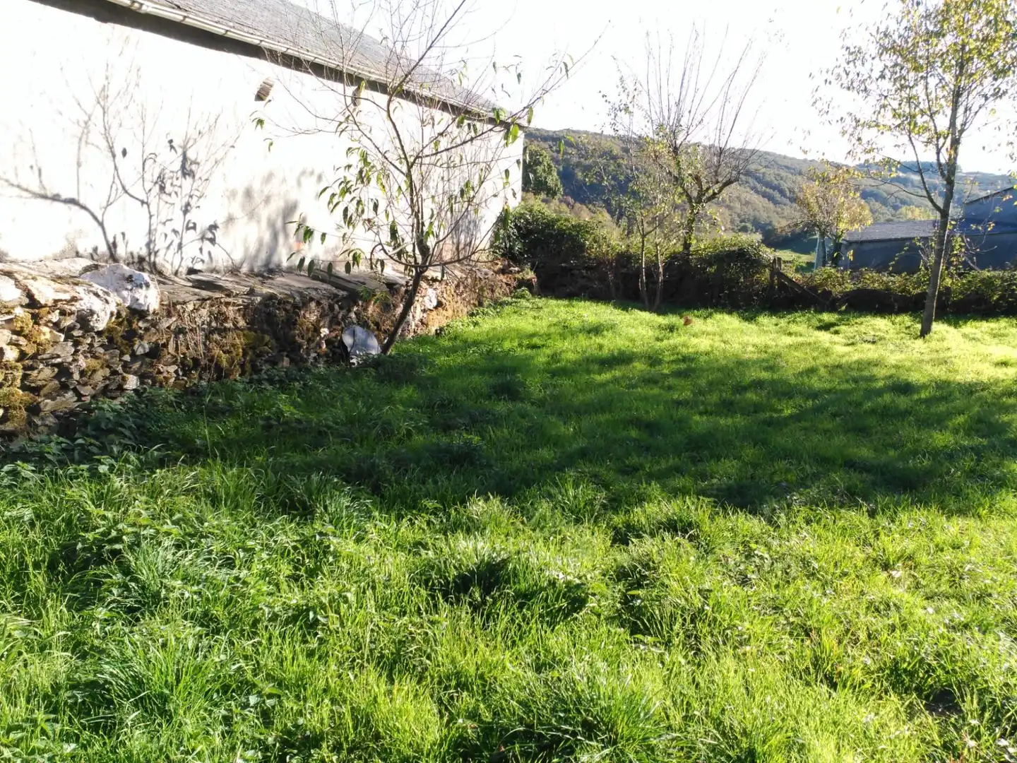 Finca rústica en venda a Castro Caldelas