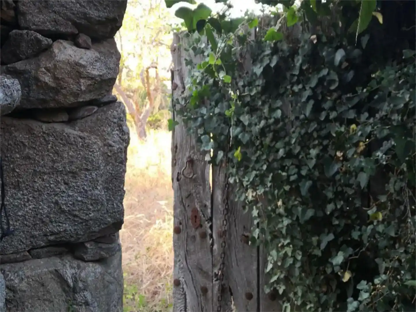 Jardín de Terreno en venta en Navaescurial
