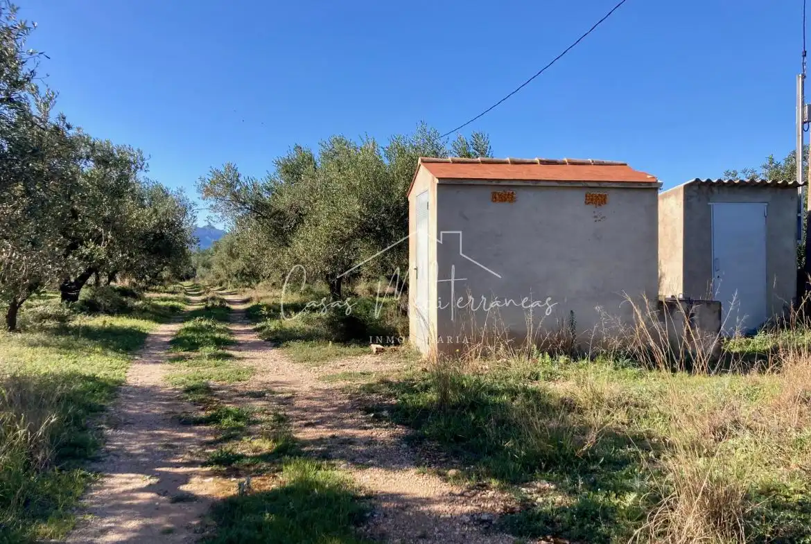 Terreny rústic en venda a Partida Planes 33, imagen 11