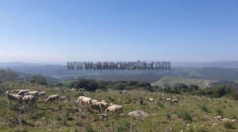 Foto 4 de Residencial en venda a Casares pueblo, Casares