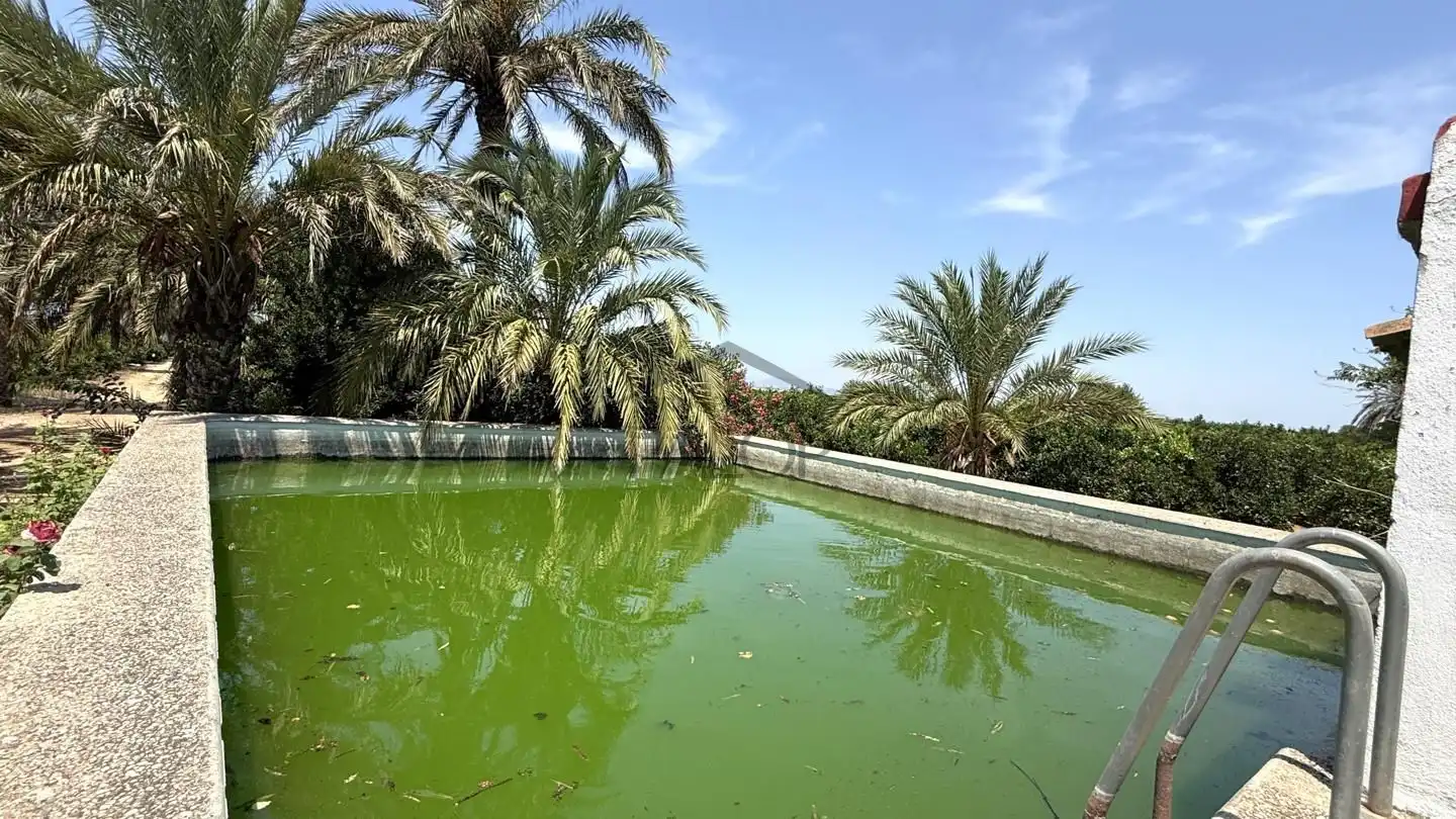 Landhaus mit Pool zum Verkauf in Carcaixent, imagen 37