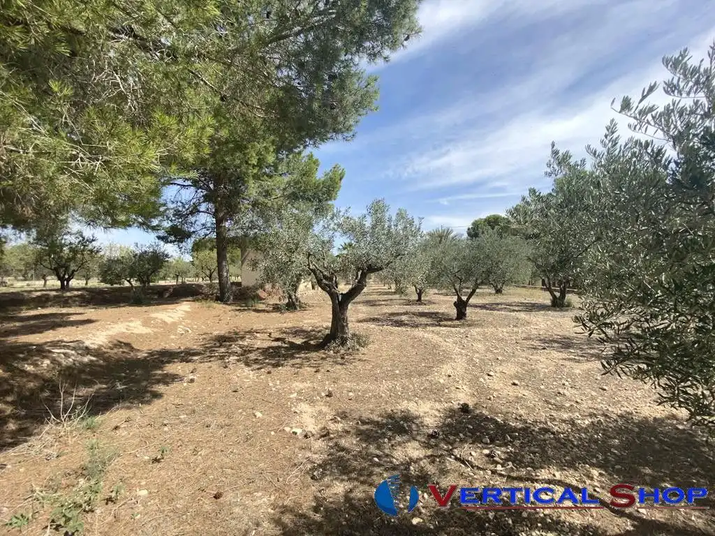 Chalet en venta en Camino Toconera, imagen 22