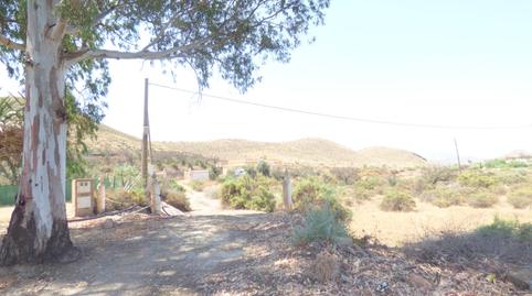 Foto 3 de Finca rústica en venda a  Albardinales, Tabernas, Almería