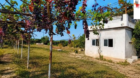 Foto 3 de Finca rústica en venta en Cabanes, Castellón
