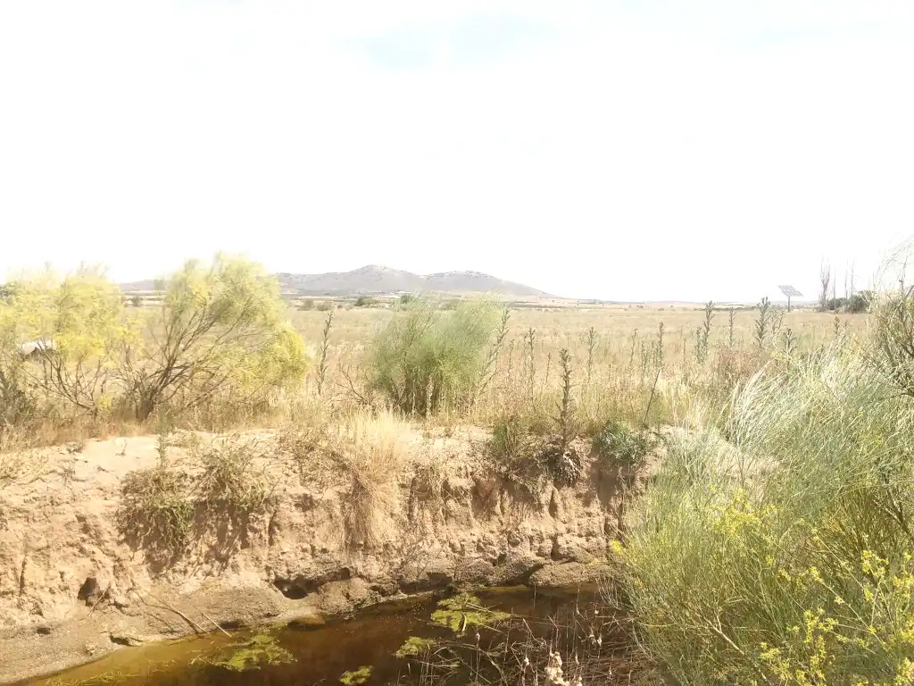 Terreni e lotti in vendita a Orgaz, imagen 28