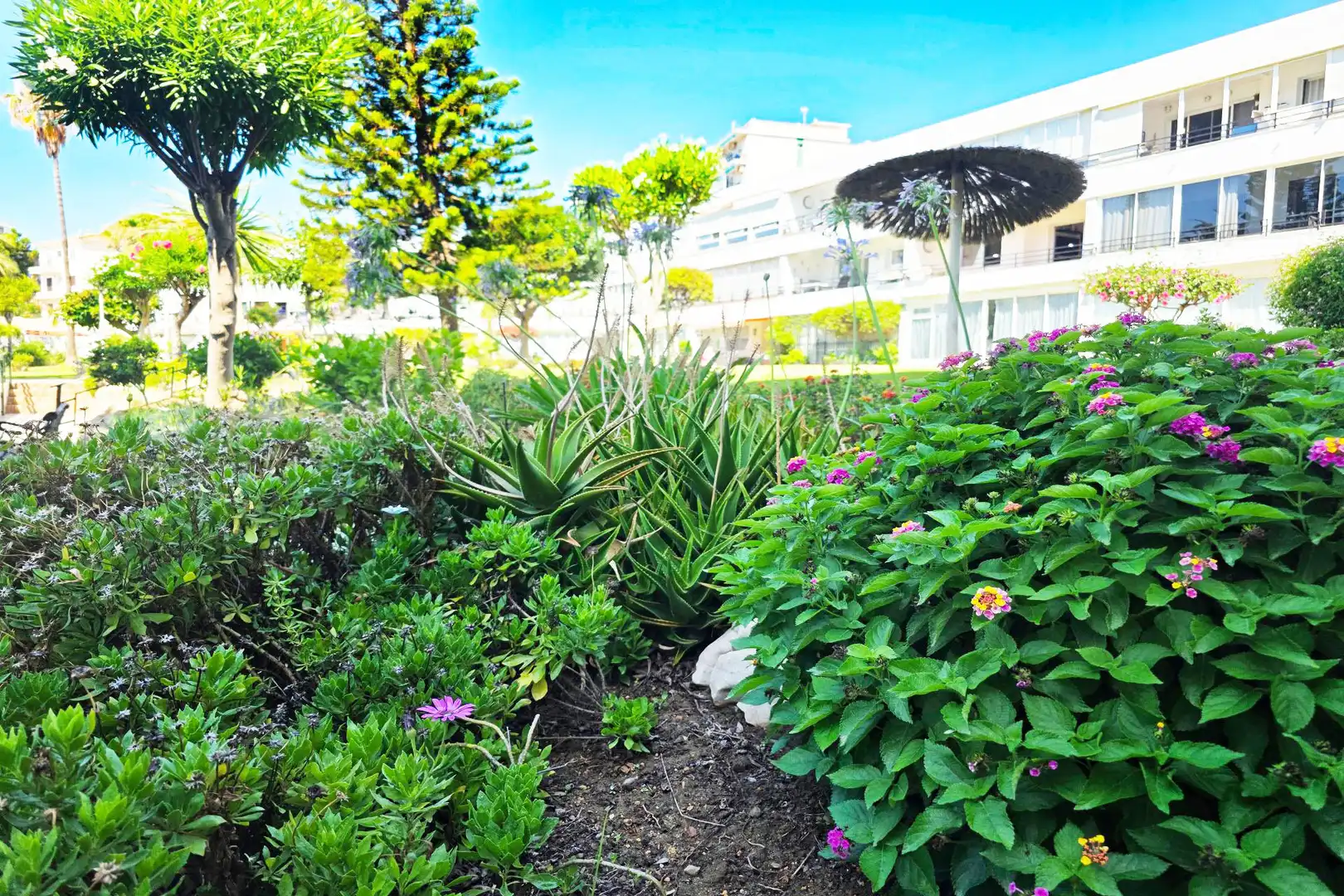 Flat with pool for sale in Avenida Terramar Alto, imagen 33