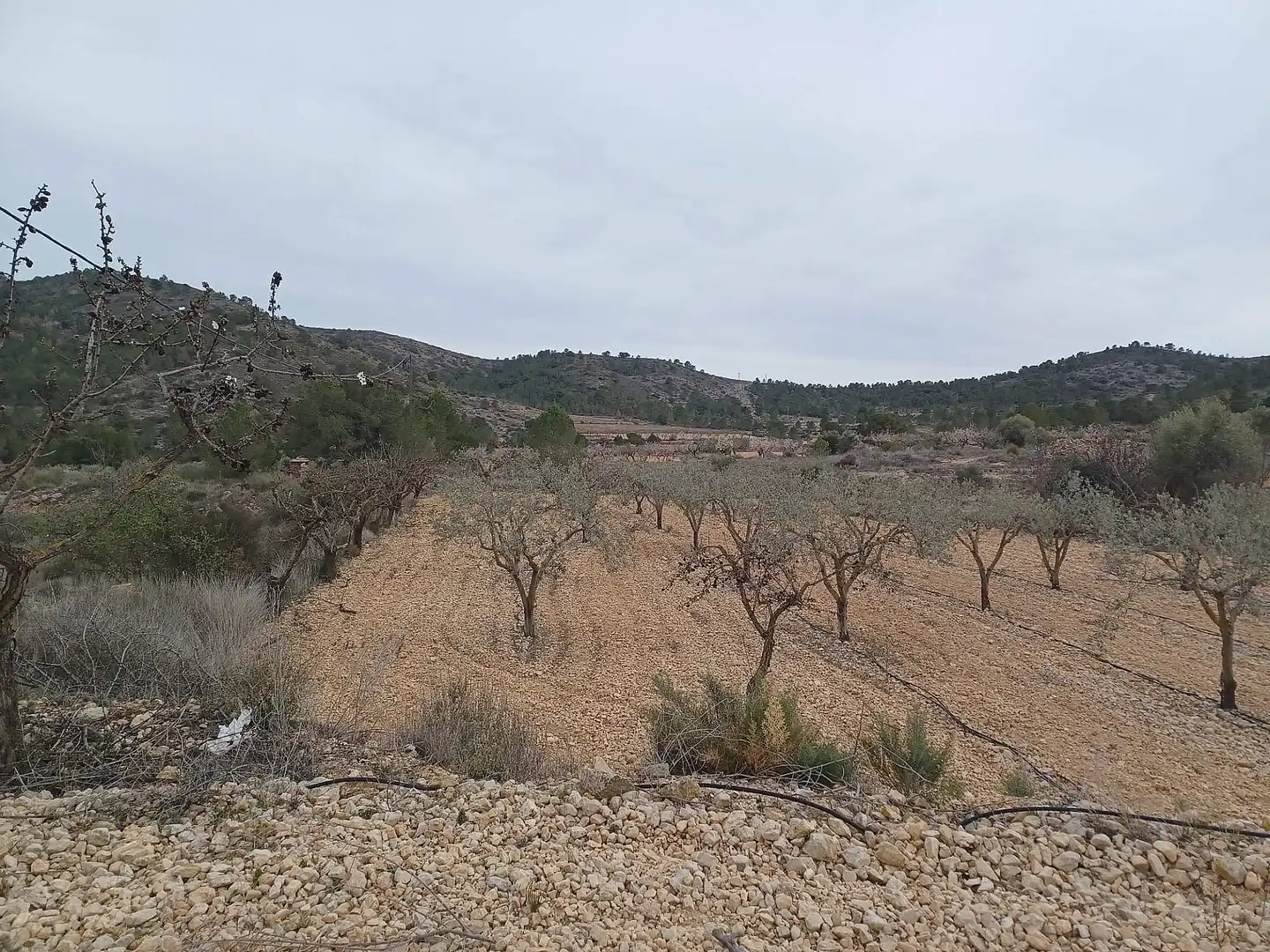 Terreny residencial en venda a La Romana, imagen 3