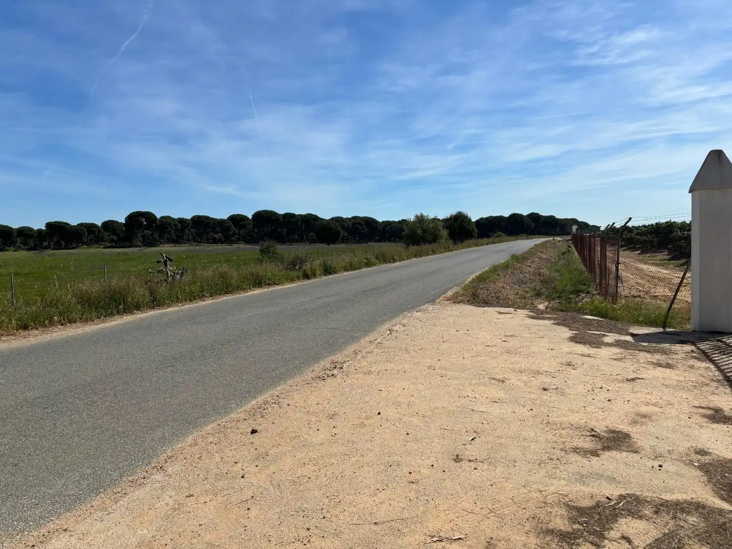 Terreni e lotti in vendita a Polígono Polígono 14 Paraje 87 LOS MONTES, imagen 31