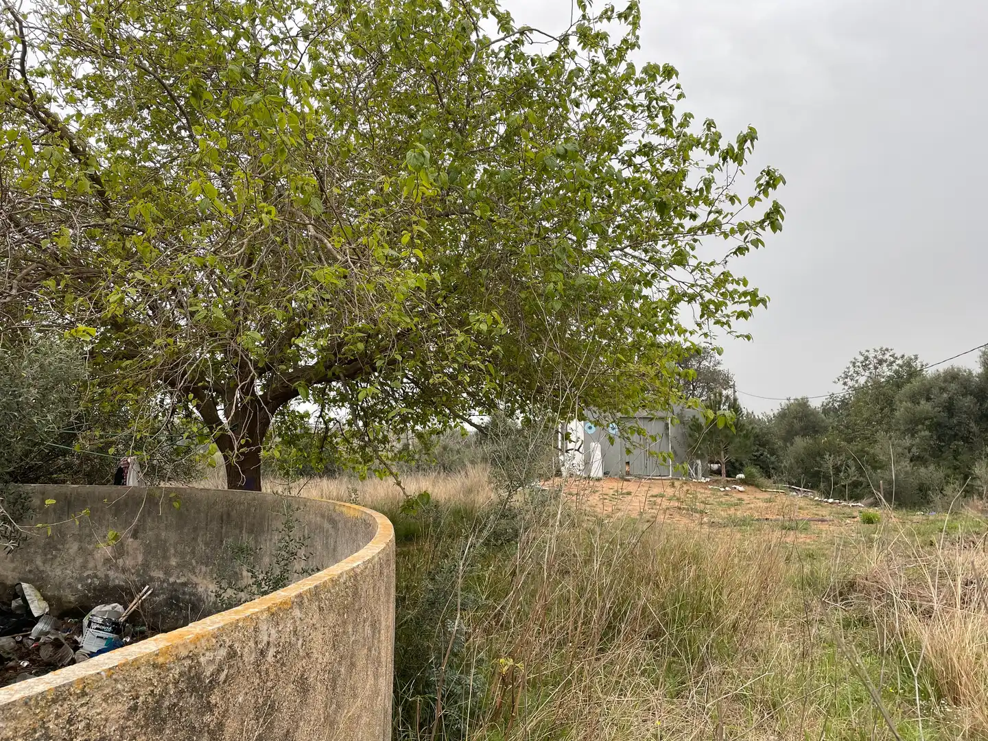 Rural land for sale in Carrer Cinc 7, imagen 4