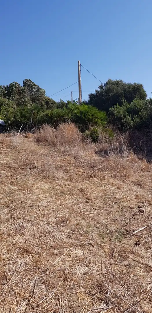 Terreny rústic en venda a Vejer, imagen 7