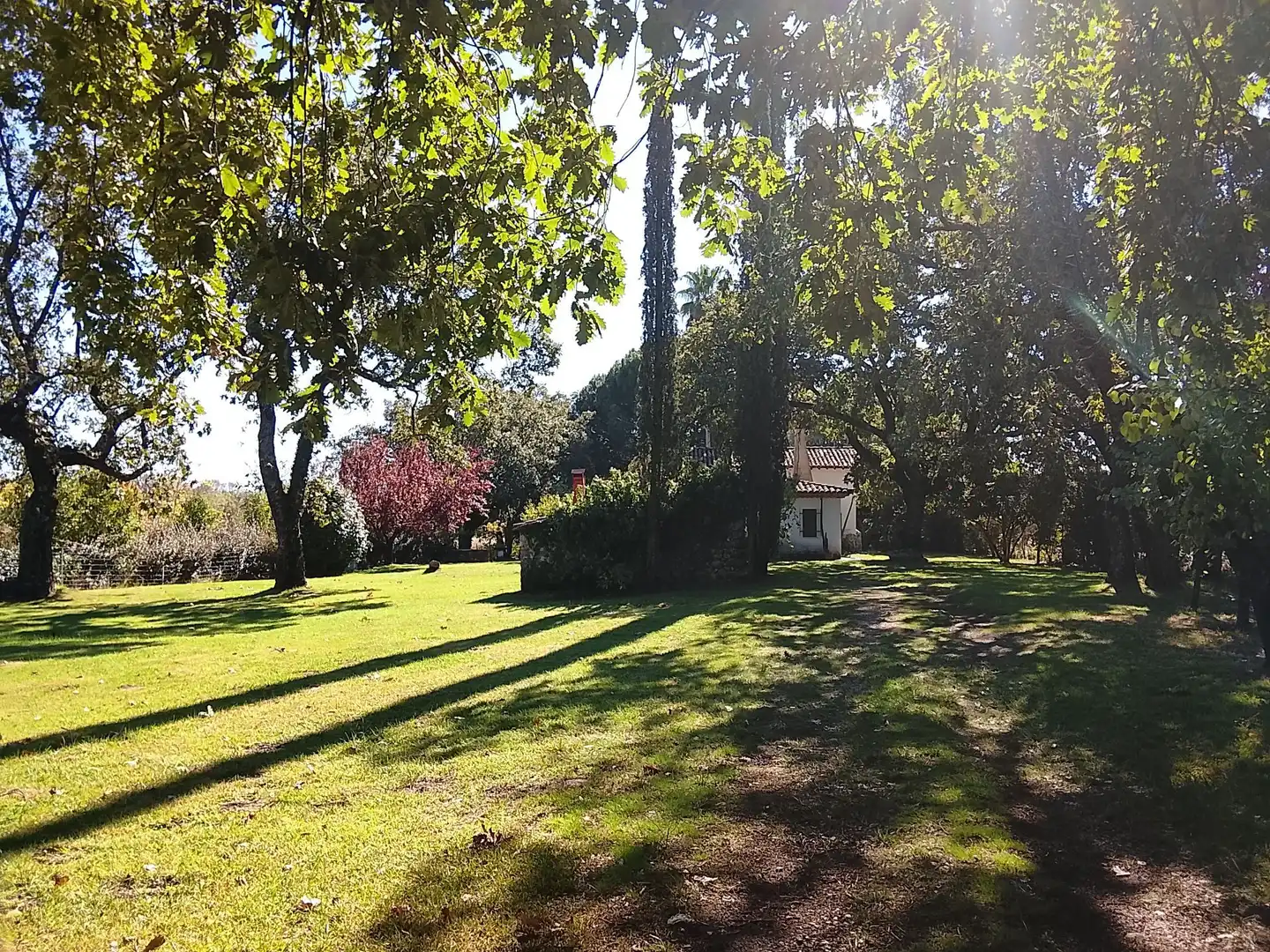 Haus mit Garten zum Verkauf in Madrigal de la Vera, imagen 148