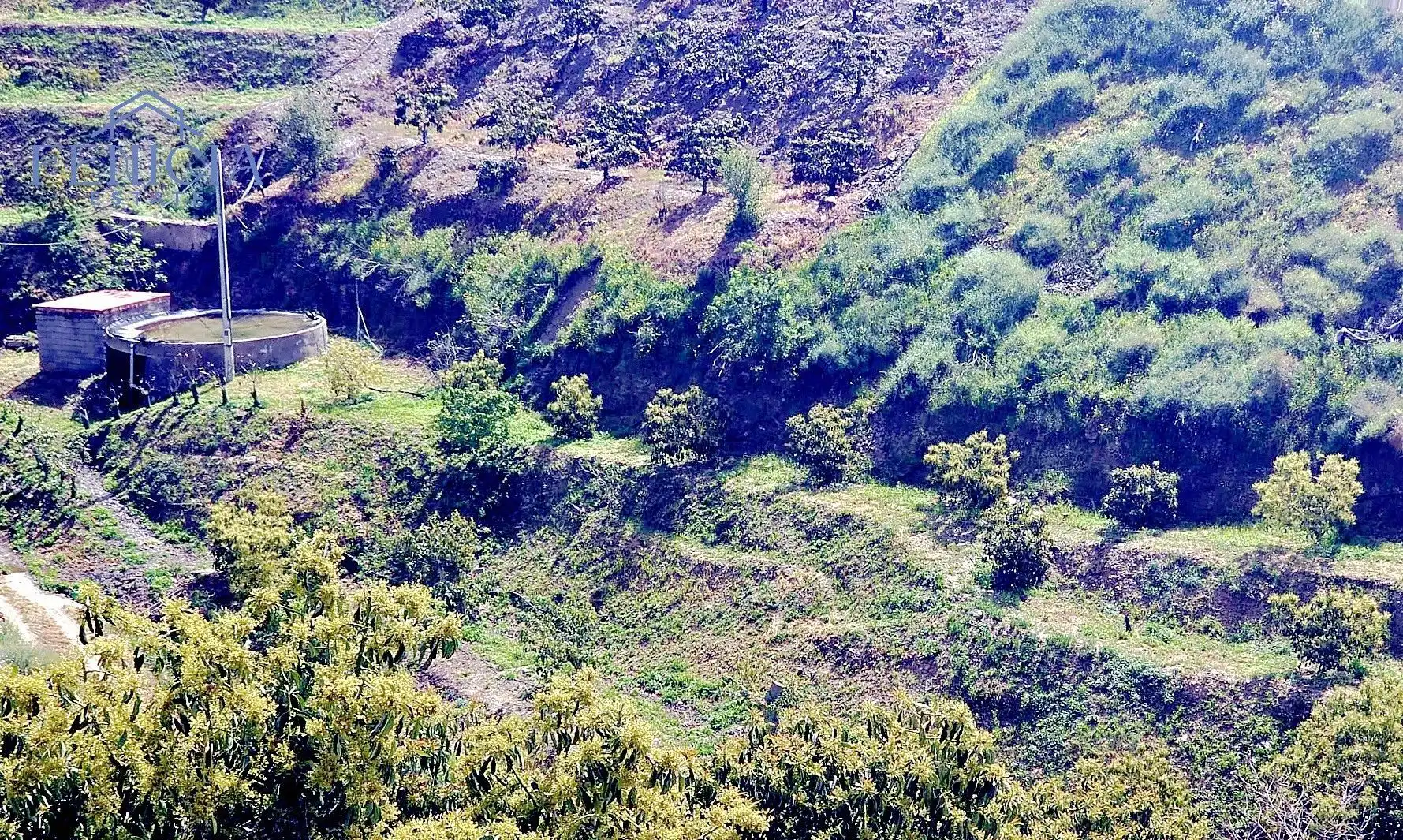 Terreno rustico in vendita a Ítrabo, imagen 4