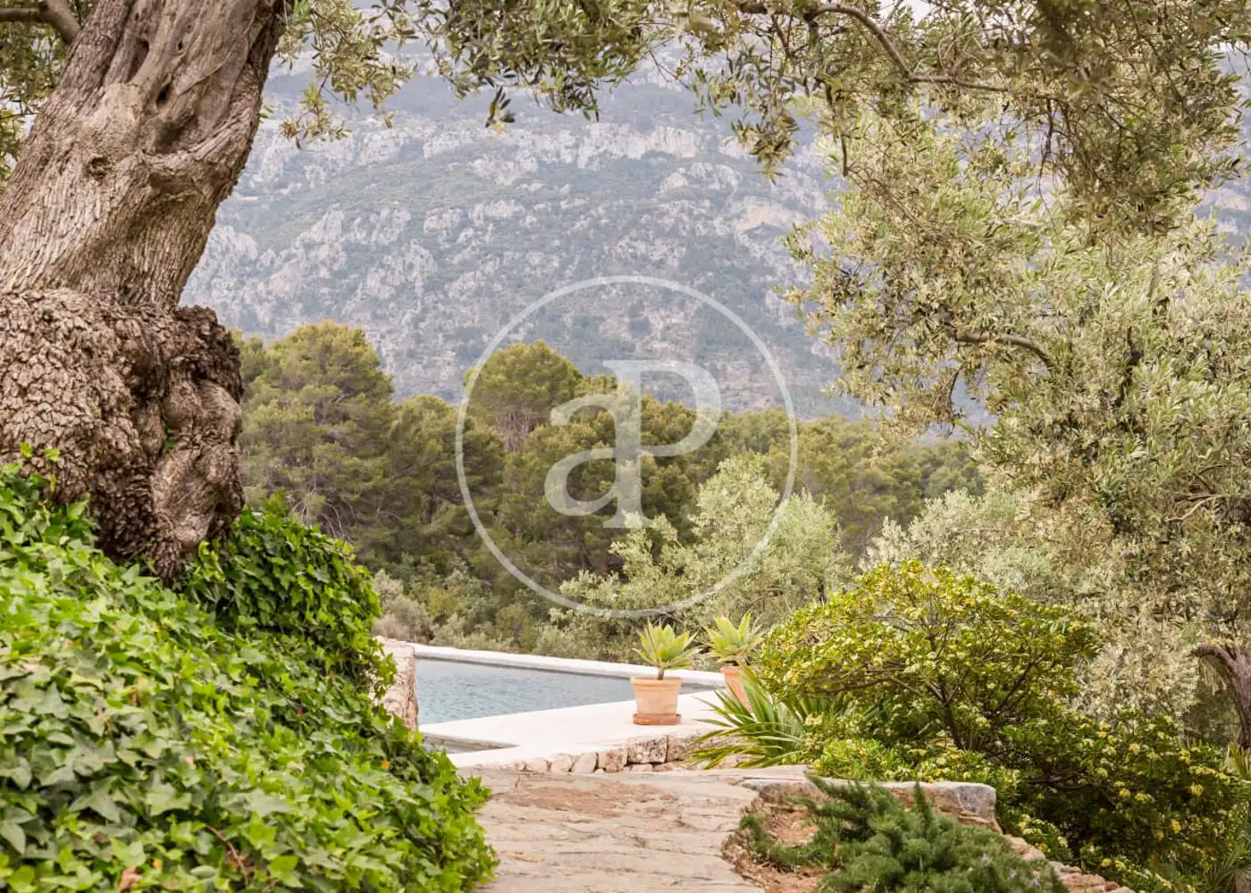 Jardín de Casa o chalet de alquiler en Sóller con Calefacción y Amueblado