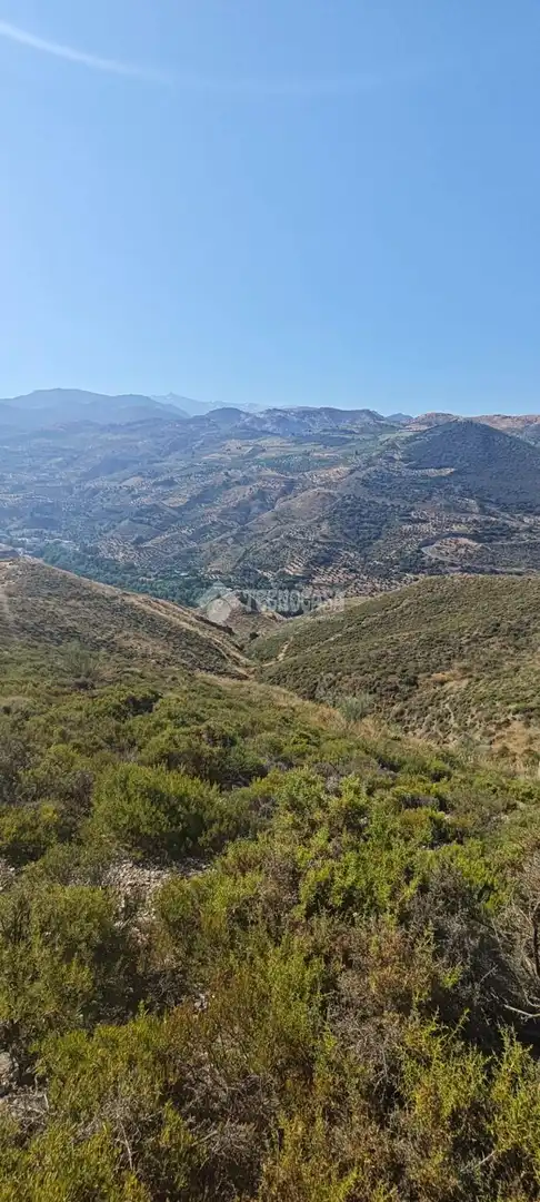 Rustikales Grundstück zum Verkauf in Pinos Genil, imagen 13