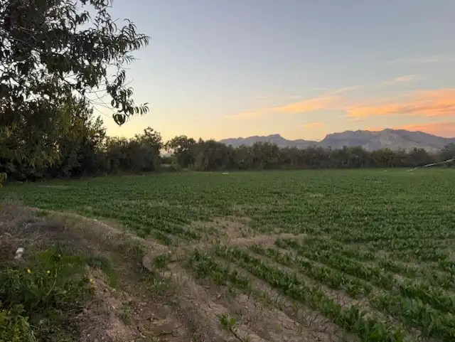 Casa en venda a Carril de los Murcia, imagen 14