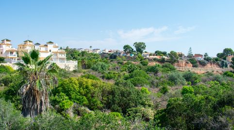 Foto 4 de Planta baja en venta en Lomas de Cabo Roig - Los Dolses, Orihuela