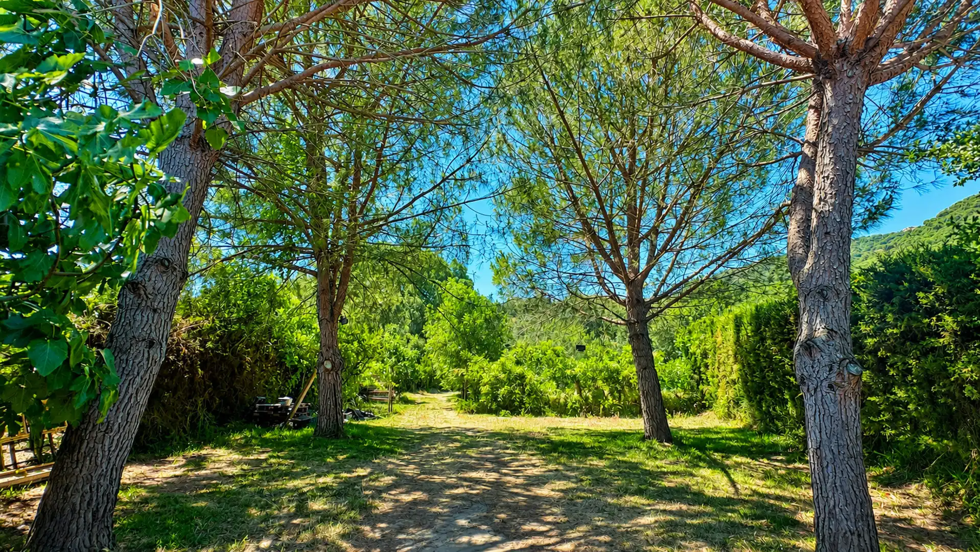 Garten von Haus oder Chalet zum Verkauf in Jimena de la Frontera mit Klimaanlage und Terrasse
