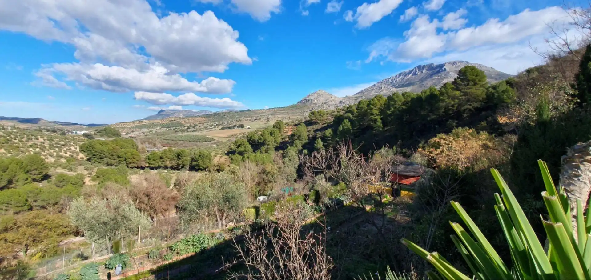 Jardí de Finca rústica en venda en El Burgo amb Calefacció, Jardí privat i Traster