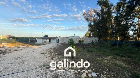 Foto 4 de Finca rústica en venda a Paradas, Sevilla