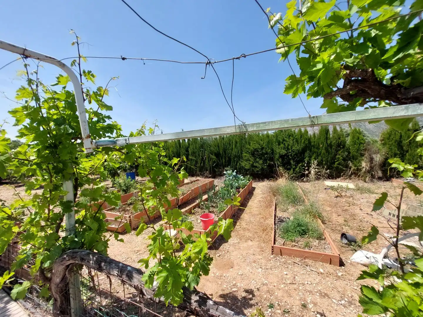 Jardín de Casa o chalet en venta en Ondara con Aire acondicionado, Calefacción y Jardín privado