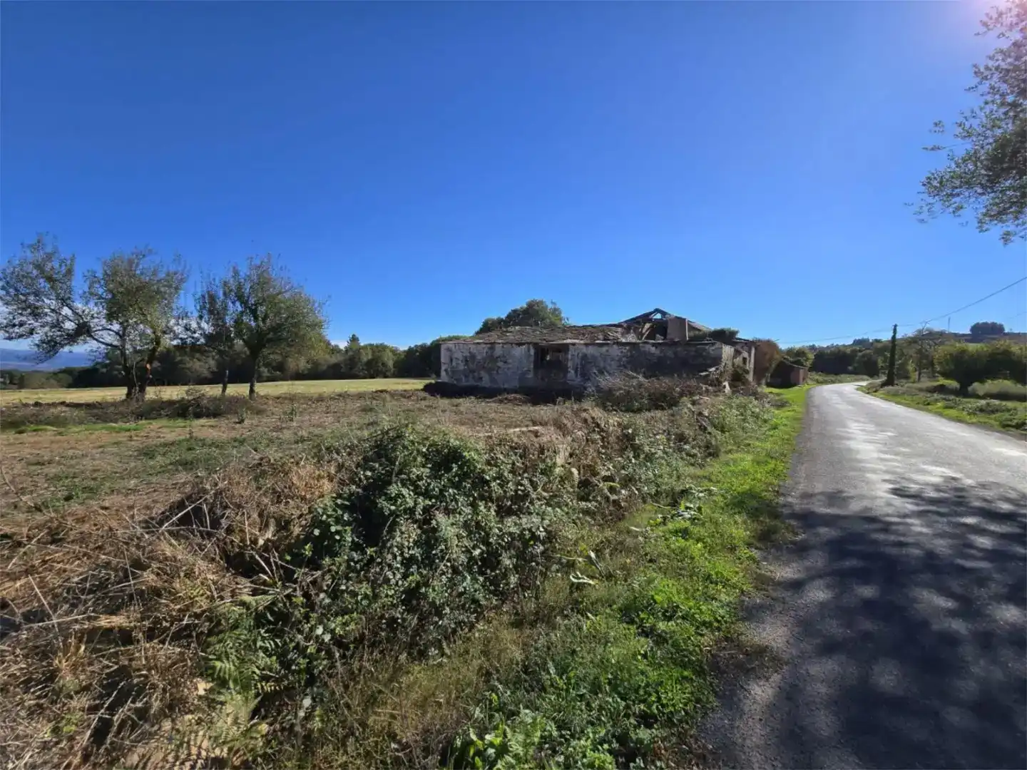 Casa o xalet en venda en Paradela amb Jardí privat