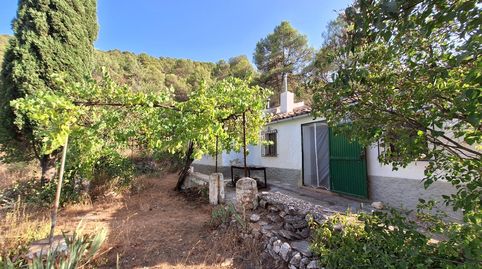 Foto 2 de Finca rústica en venda a Partida Sentbenet Baix, Centre - Zona Alta, Alcoy / Alcoi