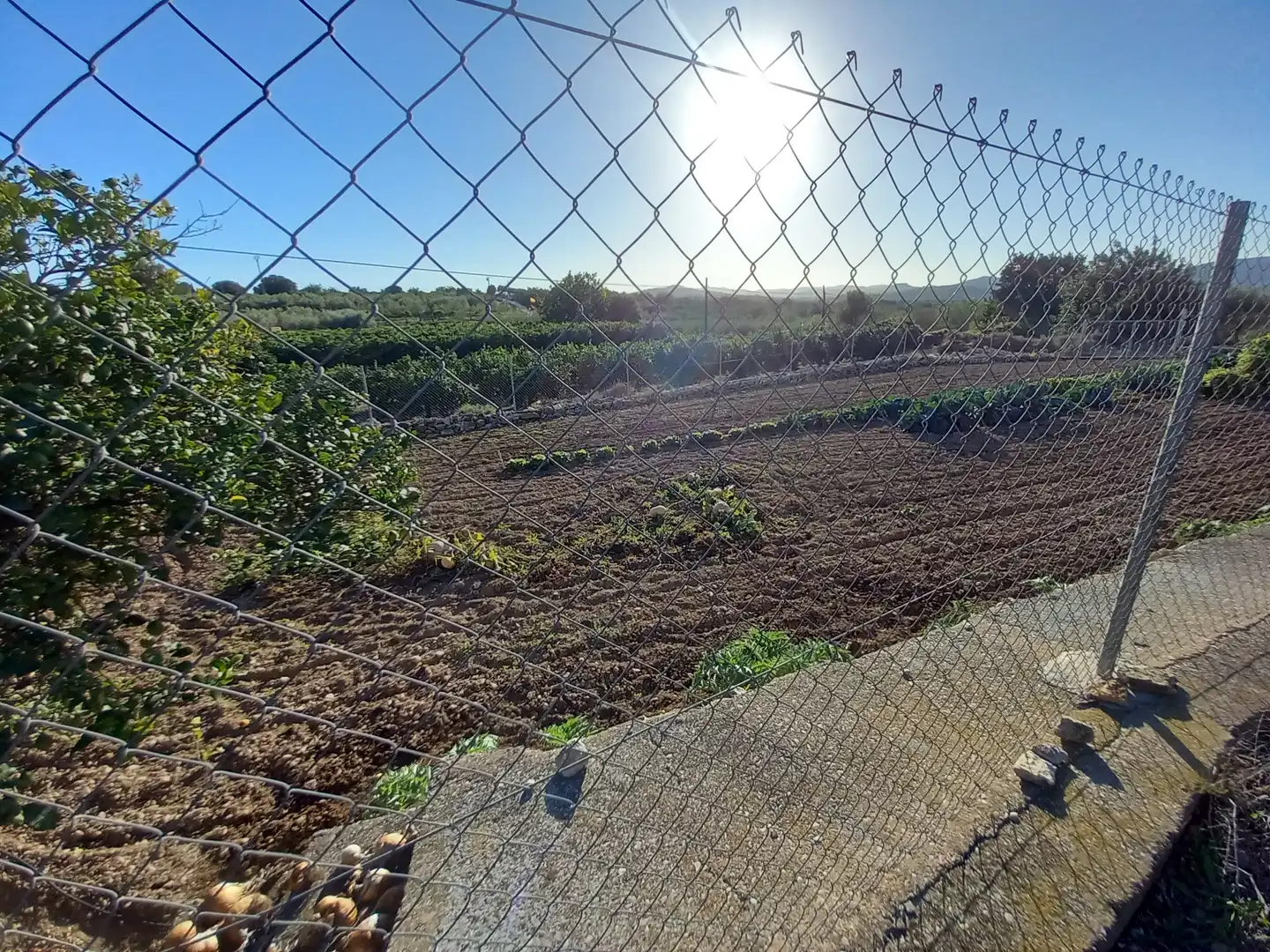 Grundstücke zum Verkauf in Càlig