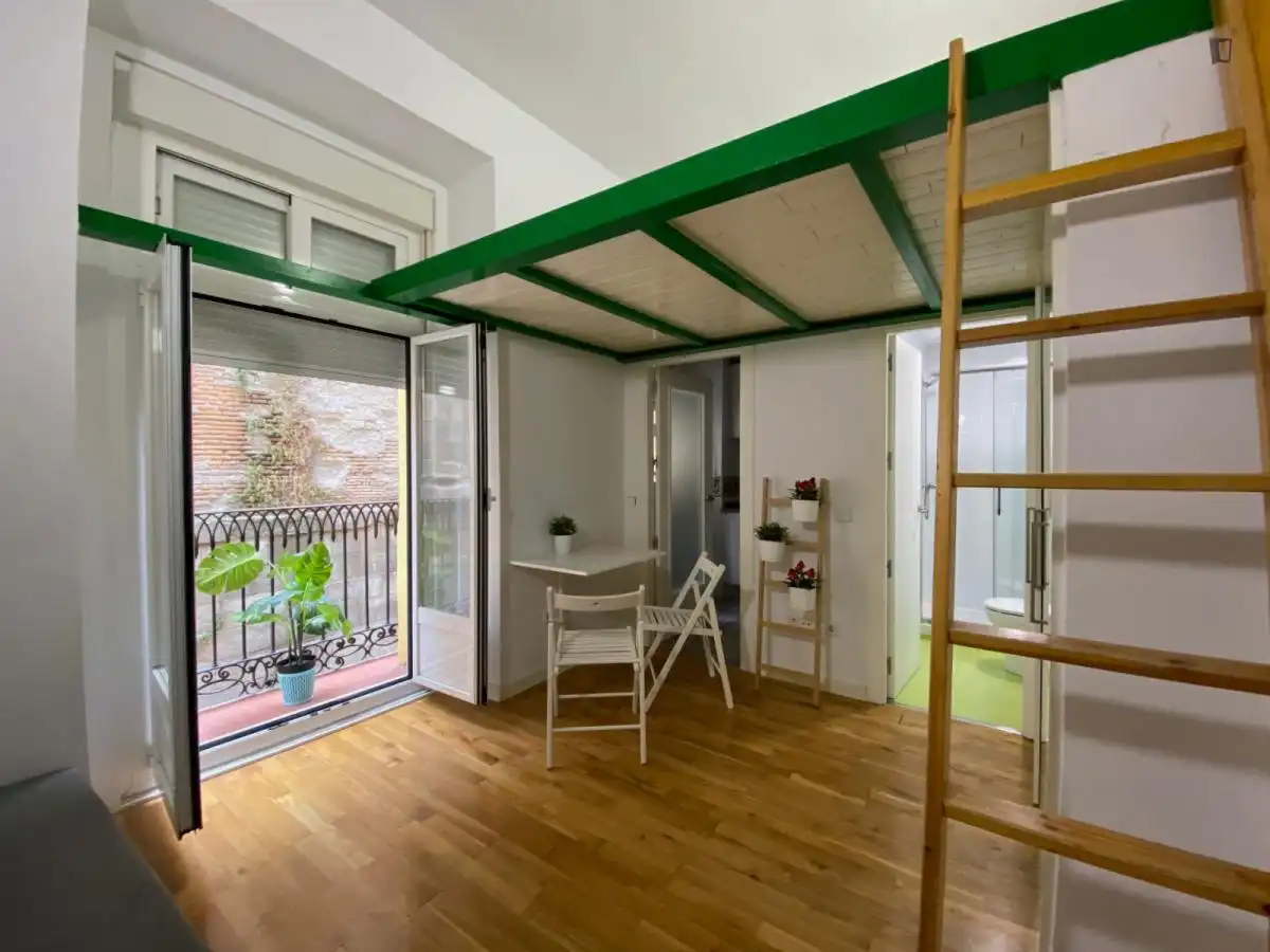 Estudio en alquiler en Centro, imagen 14