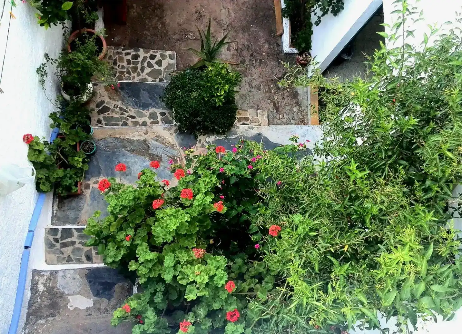 Jardí de Finca rústica en venda en Aracena amb Balcó