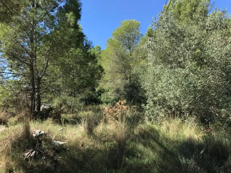 Terreno rústico en venta en Carrer Ametler, imagen 6