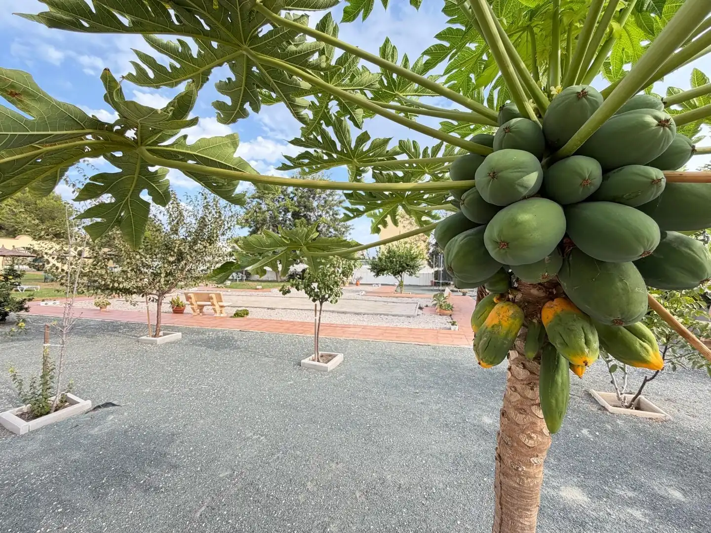 Casa o chalet en venta en Orihuela Costa