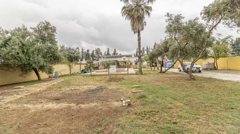 Photo 2 of Houses for sale in Carmona, Sevilla