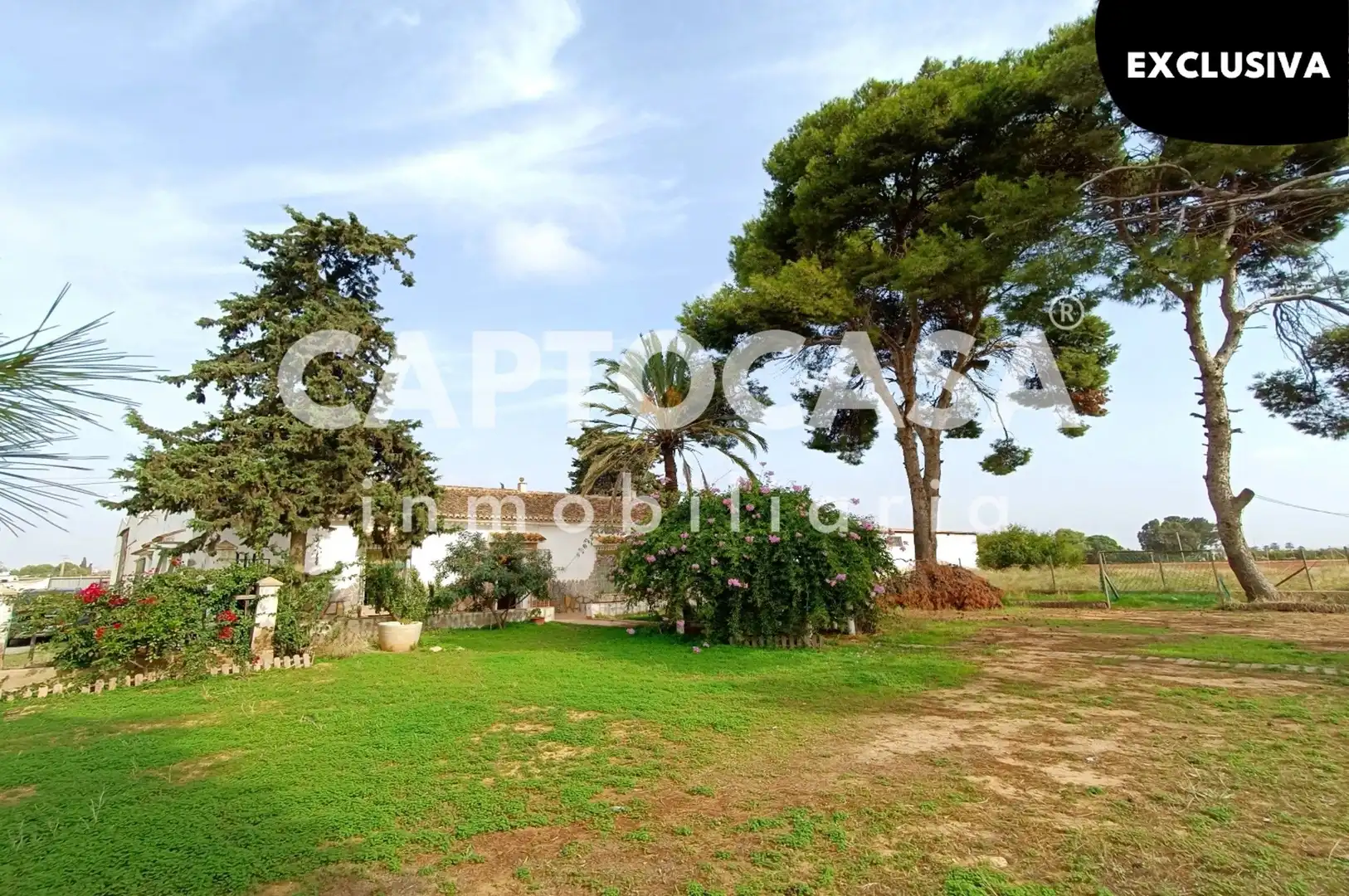 Finca rústica en venta en La Palma