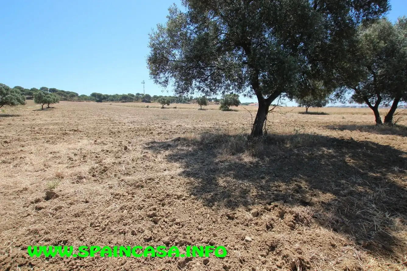 Terrenos y solares en venta en Núcleo urbano, imagen 9