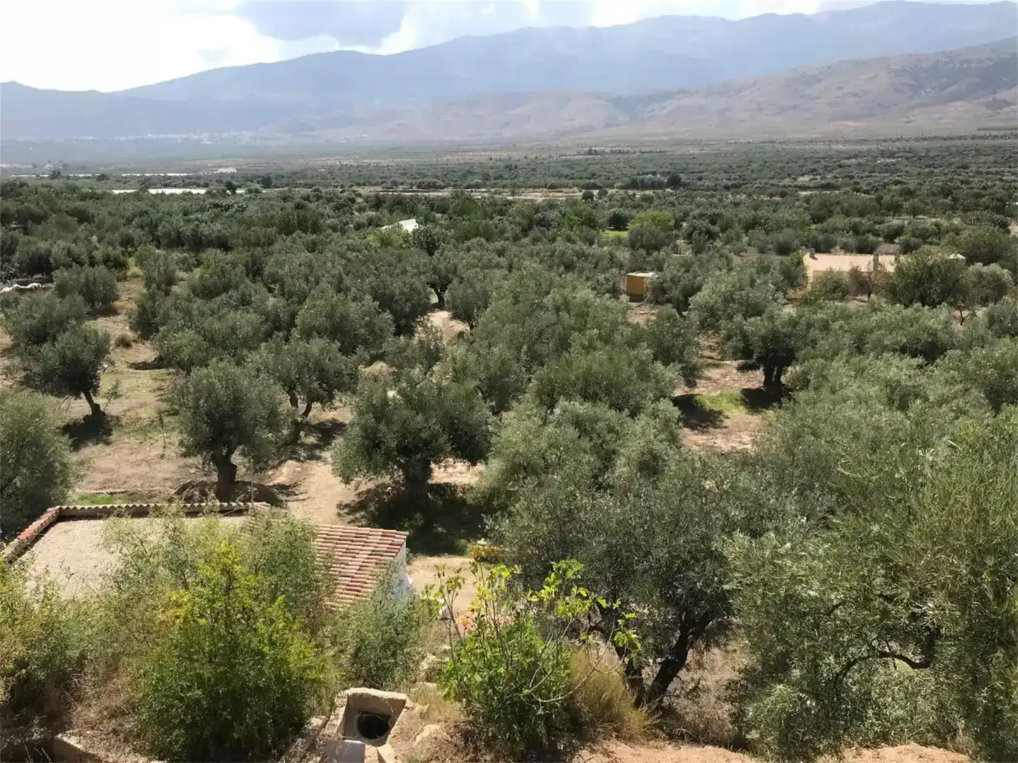 Finca rústica en venda en Fiñana