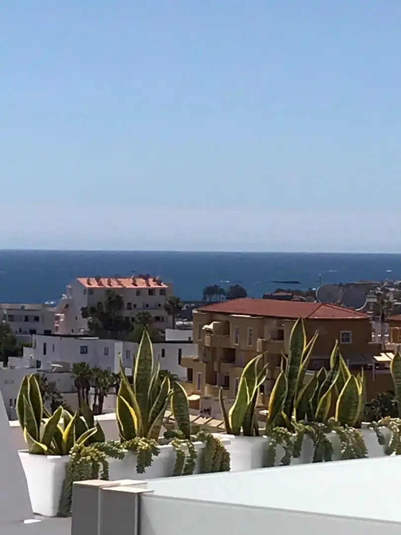 Vista exterior de Apartamento de alquiler en Adeje con Terraza, Amueblado y Lavadora