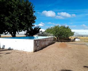 Garden of House or chalet for sale in Villanueva de la Serena  with Private garden, Storage room and Swimming Pool