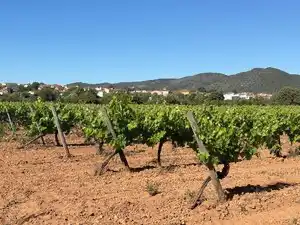 Vista exterior de Terreno en venta en Santa Oliva